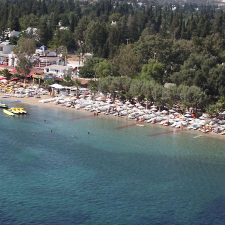 Okaliptus Otel Bitez Dış mekan fotoğraf