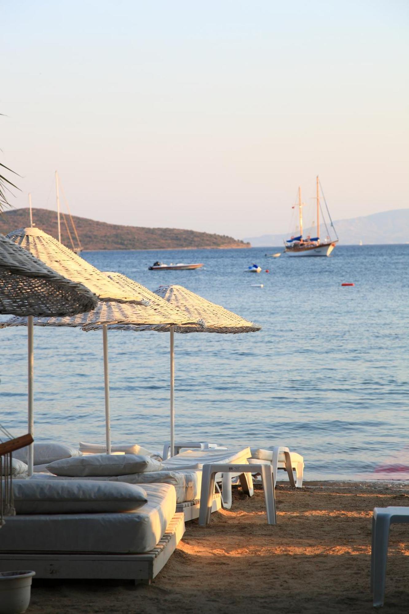 Okaliptus Otel Bitez Dış mekan fotoğraf